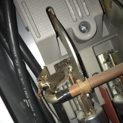 troulbeshooting electrical problem